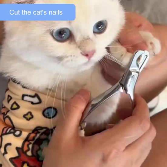 Самоклеящаяся накидка для ухода за кошками, средство для стрижки когтей, сумка для чистки и удержания, защита от укусов и царапин