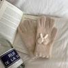 Thickened Knitted Gloves Touch Screen Five Finger Gloves Fashion Cold-proof Gloves  Women