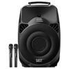 SAST SA-132 Портативная уличная Bluetooth-колонка для караоке с двумя микрофонами, штекер CN (адаптер в комплекте)