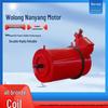 Wolong Nanyang Ultra-Efficient NEMA Three-Phase All-Copper Motor