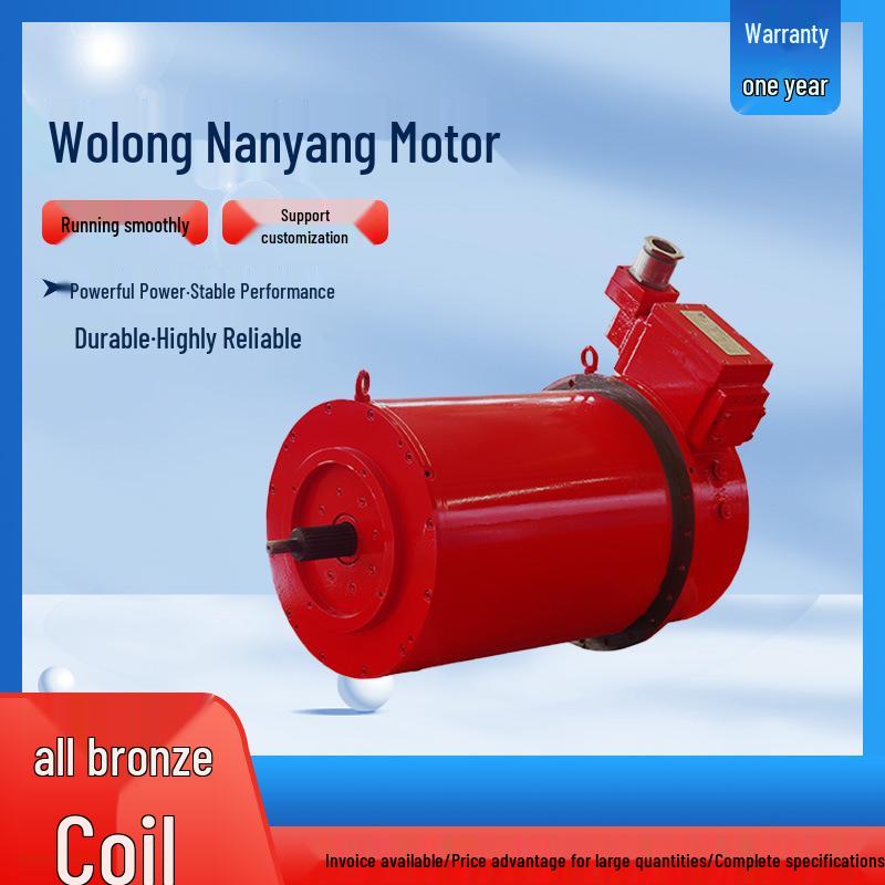 Wolong Nanyang Ultra-Efficient NEMA Three-Phase All-Copper Motor
