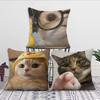 Милая наволочка Чехол для подушки Кот Смешной Декор Комната Дом Диван Гостиная Офис Автомобиль Скандинавская Простота