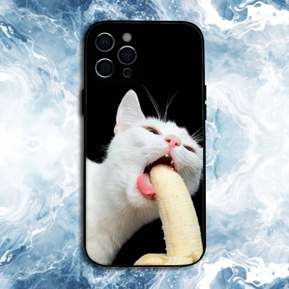 Смешные мемы с домашними кошками Чехол для телефона Для iPhone 17, 16, 15, 14, 13, 12, 11 Plus, Pro Max, Мягкий силиконовый черный чехол