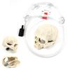 1 Set Resin Skull Aquarium Decor – Fish, Shrimp & Reptile Breeding Cave with Built-in Bubbler Stone for Oxygenation | Halloween Fish Tank Ornament