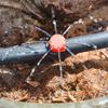 10Pcs Adjustable Dripper Red Micro Drip Irrigation Watering Anti-clogging Emitter Garden Supplies for 1/4 Inch Hose
