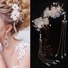 1pc/2pcs Elegant Classical Style Dragonfly Traditional HANFU Chinese Tassel Hairpin Headwear Hair Cl