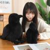 Simulation Crow Doll Plush Toy 15/25/35cm Handmade Cartoon Anime Cute Pillow Cushion Home Decor Kids Birthday Gift