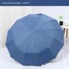 Женский большой 12-спицевый автоматический складной зонт для солнца и дождя с настраиваемой рекламой
