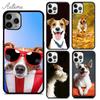 Чехол для телефона с джек-рассел-терьером для iPhone 11 12 13 14 Pro Max mini X XR XS SE 2020 6S 7 8 Plus Samsung Galaxy S21 S22