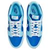 Nike Dunk Low Retro Qs 'Argon' 2022 Кроссовки для скейтбординга DM0121-400