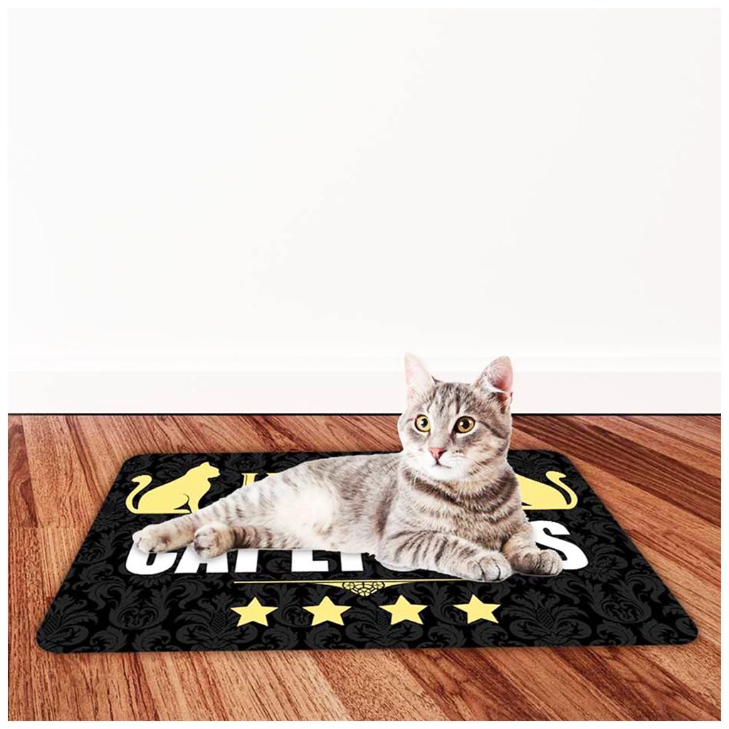 Les Trésors De Lily [Q2409] - Ковер «Сообщения» (Star Cat Hotel) - 60x40 см