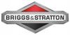 Odkurzacz Ogrodowy Spalinowy Nax Dmuchawa Do Liści Śniegu Briggs Stratton