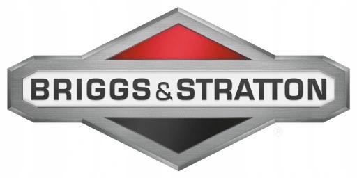 Odkurzacz Ogrodowy Spalinowy Nax Dmuchawa Do Liści Śniegu Briggs Stratton
