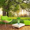 Масштабная лесная настенная роспись Forest Park Of 3d Landscape Wallpaper For Walls 3d