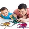 Заводные игрушки Заводная игрушка Жук Игрушка Трюковые реквизиты Насекомые Животные Ползающая игрушка Коллекция