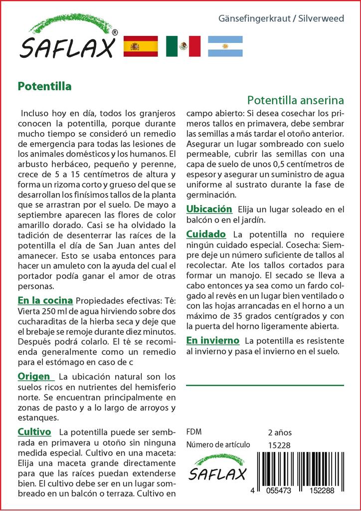 SAFLAX Garden in the Bag - Лапчатка гусиная - 20 семян - С субстратом в подходящем пакете-стойке - Лапчатка гусиная