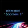 PMAX M2030 High-Speed Desktop 3D Printer CN plug (adapter included)