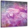 Canvas Print Pink Parrot