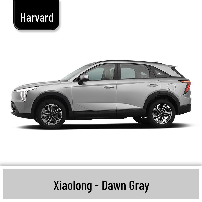 Карандаш для подкраски Haval H6 Cool Dog, Черный Spot & Ruixue Белый Краска для ремонта царапин