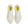 Nike Wmns Air Zoom Pegasus 41 'Sail Lightening Pure Platinum'