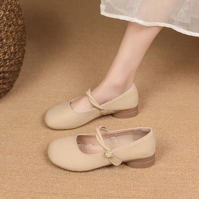 Круглые одинарные туфли женские весна-лето 2025 французский взрыв китайский неглубокий носок с юбкой ретро универсальные туфли Мэри Джейн прилив