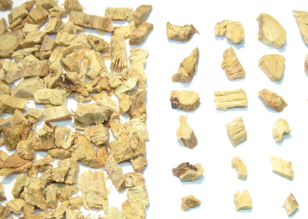 SAFLAX Garden in the Bag - Солодка - 30 семян - С субстратом в подходящем пакете-стойке - Glycyrriza glabra