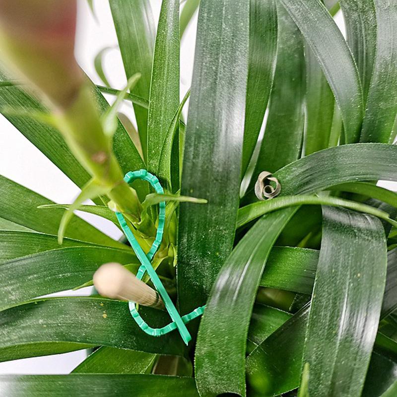 50Pcs Adjustable Plant Cable Ties Reusable Plastic Cable Ties for Grape Tree Climbing Support 17*0.8cm Garden Care Tool