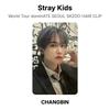 Stray Kids Мировой Тур dominATE СЕУЛ SKZOO ЗАКОЛКА ДЛЯ ВОЛОС Официальная фотокарточка