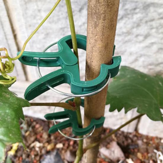 50 шт. зажимы для садовых растений, многоразовые выпрямляющие стебли растений, зажимы для лоз, растут вертикально, лазают