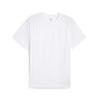PuMa Men S Running ShorT Sleeve T ShirT M Run velociTy Tee Poly