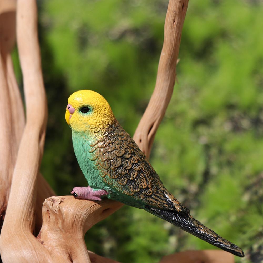 Miniatures Bird Figurines Educational Budgerigar Toy Creative Simulated Budgie Parrot  Kids Room