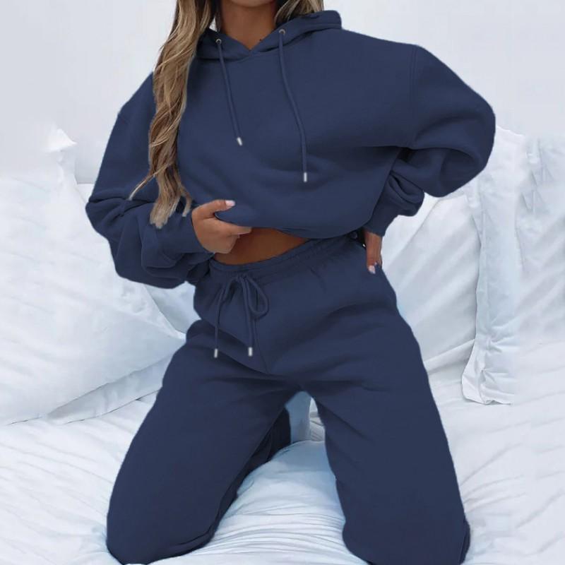 Womens Solid Color Hooded Long Sleeve Sweatshirt Set Casual Street Style Outfit
