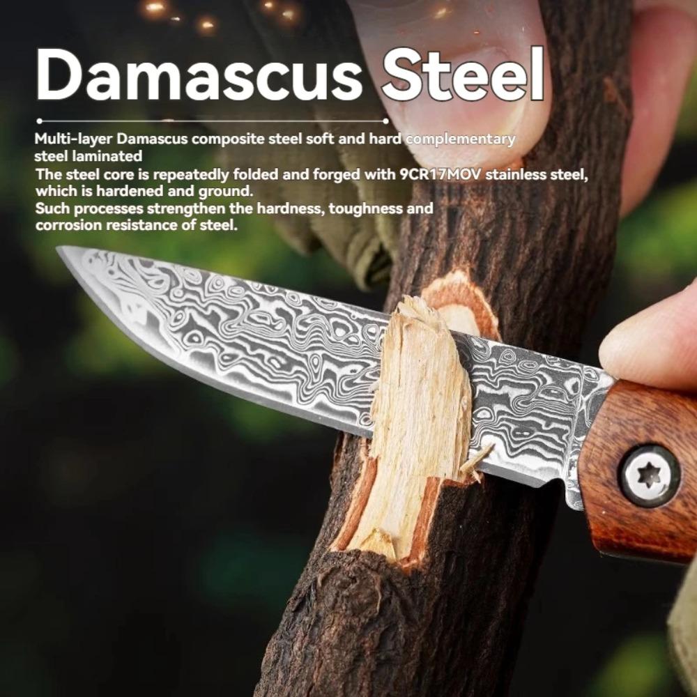 Damascus Steel Portable Meat Eating Outdoor Camping Mini Folding Knife Sharp Fruit Knife