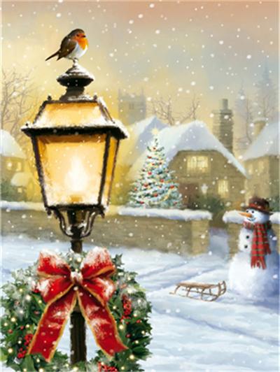 5D DIY Алмазная картина Рождественский подарок Птица Снег Дерево Вышивка крестом Полная дрель Квадратная вышивка Мозаика Зимняя картина Домашний декор