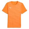 Puma Short-sleeve T-shirt Individual Graphic