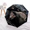 1pc Harry Potter Max Original Automatic Folding Umbrella - Compact 8-Rib Design, Durable Plastic & Iron1437L