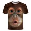 3D Fashion Funny Monkey Graphic T Shirts Summer Casual Animal Pattern Men's T-shirt New Hip Hop Print Short Sleeve T-shirts Tops