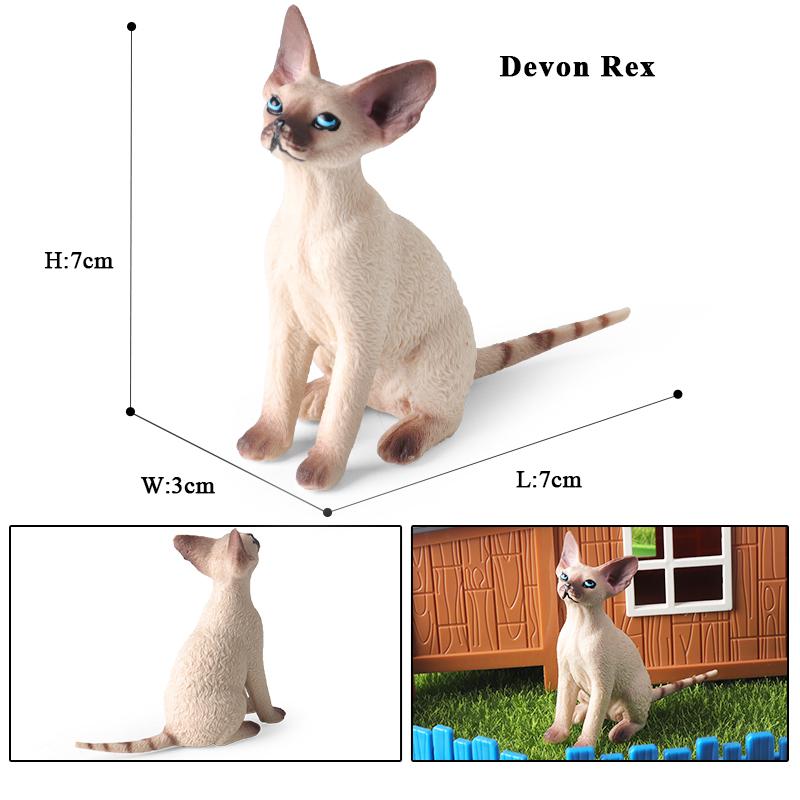 Oenux Cat Model Siamese Devon Rex Sphynx Ragdoll Persian Action Figure Cat Kitty Bobtails Figurine Cute Decoration Kids Toy Gift