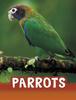 Книга Parrots