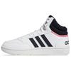 Кроссовки Hoops 3.0 Mid Classic Cloud White Legend Ink Женские GW5455