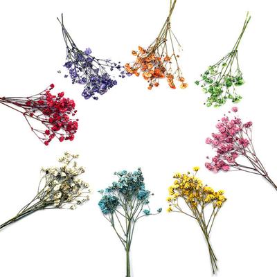 12 шт., легкие, модные, вечные, детские, сухие цветы, букеты, сушеная гипсофила, 12 шт.