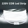 EU Plug 220V COB LED Strip Light High Bright Outdoor Garden FOB LED Lights Tape For Courtyard Bedroom Kitchen Wall Lighting