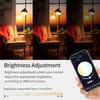Tuya Bluetooth Smart LED Bulb Lights E27 18W 15W 9W RGB Lamp Управление через приложение Таймер Голосовое управление Работает с Alexa Google Home
