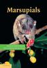 Книга Marsupials by UNKNOWN - Paperback