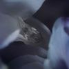 Tomorrowobject 23FW. лилия бриз. серьга 03. 2 тип