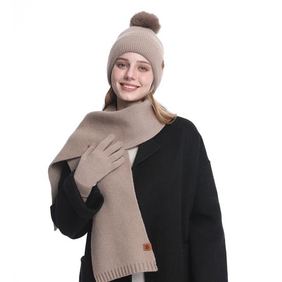 3 шт./комплект, женская зимняя шапка, шарф, перчатки, комплект, толстая трикотажная защитная шапка для ушей, перчатки, эластичная ветрозащитная зимняя шапка-купол для велоспорта, шапка-бини с шейным убором