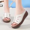 Cross-border Large-size New Slippers Women's Summer Wear One Pedal Thick-soled One-word Drag Women's Non-slip Women's Shoes