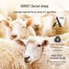 Jingdong Jingzao Dorset Australian Wool Quilt