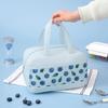 Portable Lunch Bag Woman Insulated Thermal Lunch Box Cooler Handbag Food Bag Carrier for Office School Travel Picnic 2025 Gift
