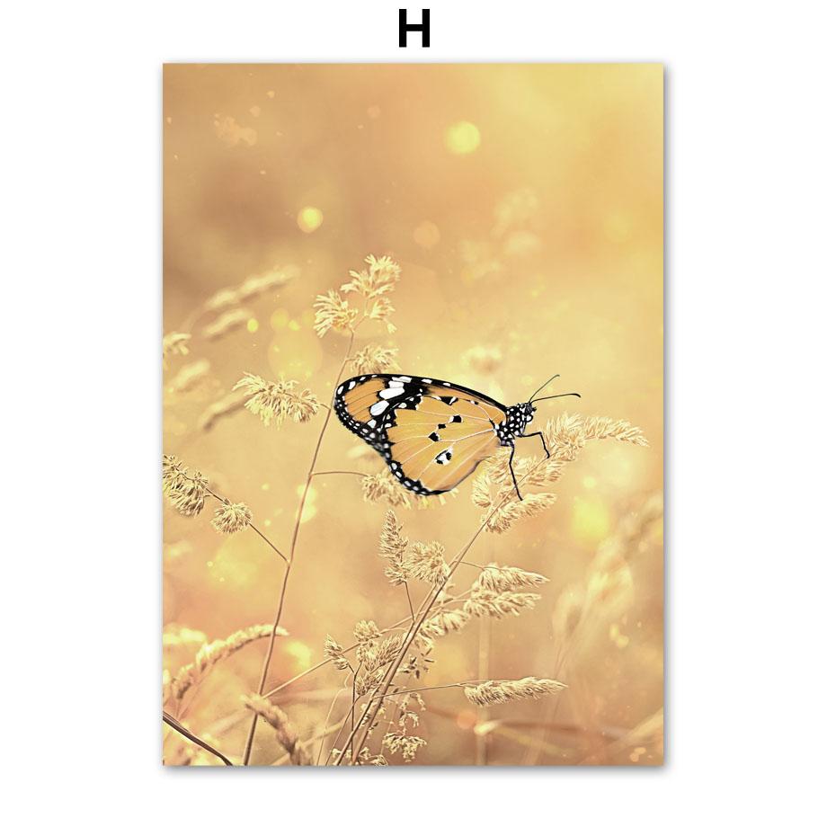 Осенние полевые постеры с бабочкой и тыквой, настенная живопись на холсте, постеры на скандинавскую тему и принты, фотографии для гостиной, домашний декор